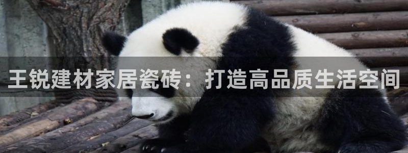 杏鑫娱乐官方网站客户端下载安装